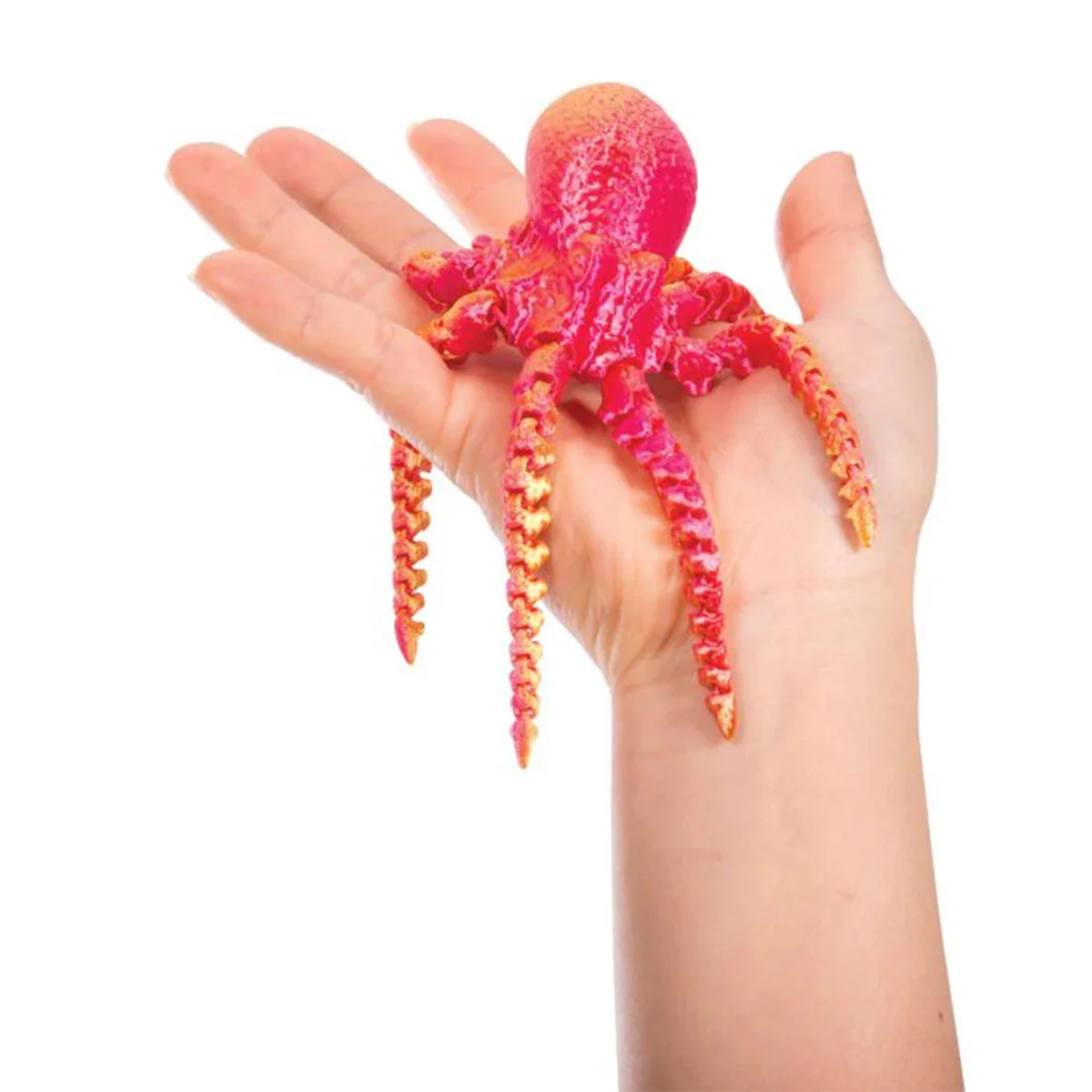 3D Sensory Sealife Assorted - Isalbi - Image 2