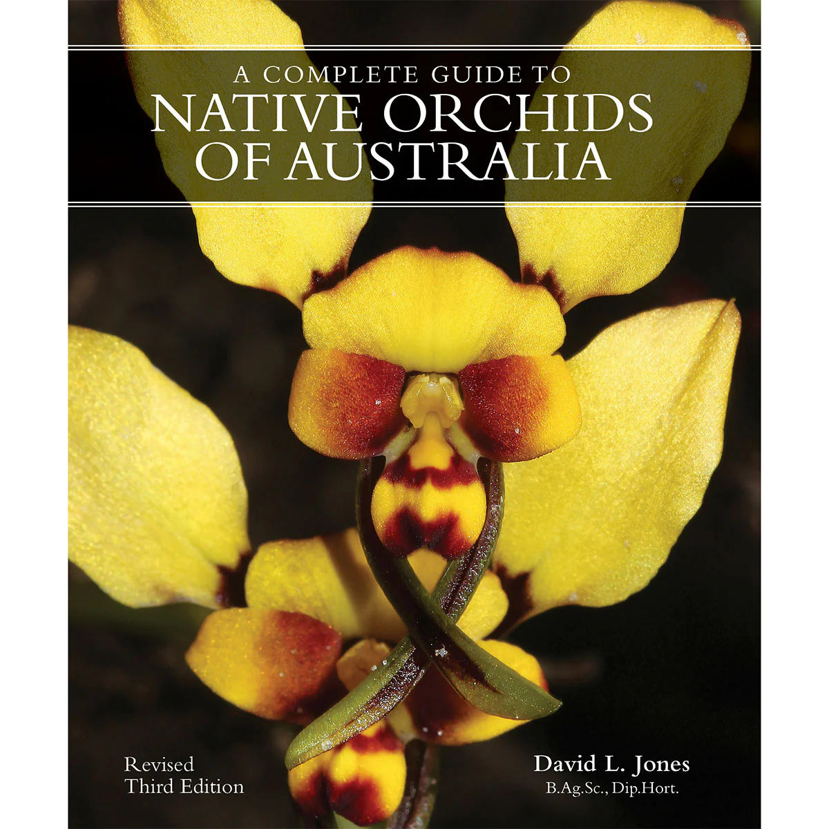 A Complete Guide to Native Orchids of Australia
