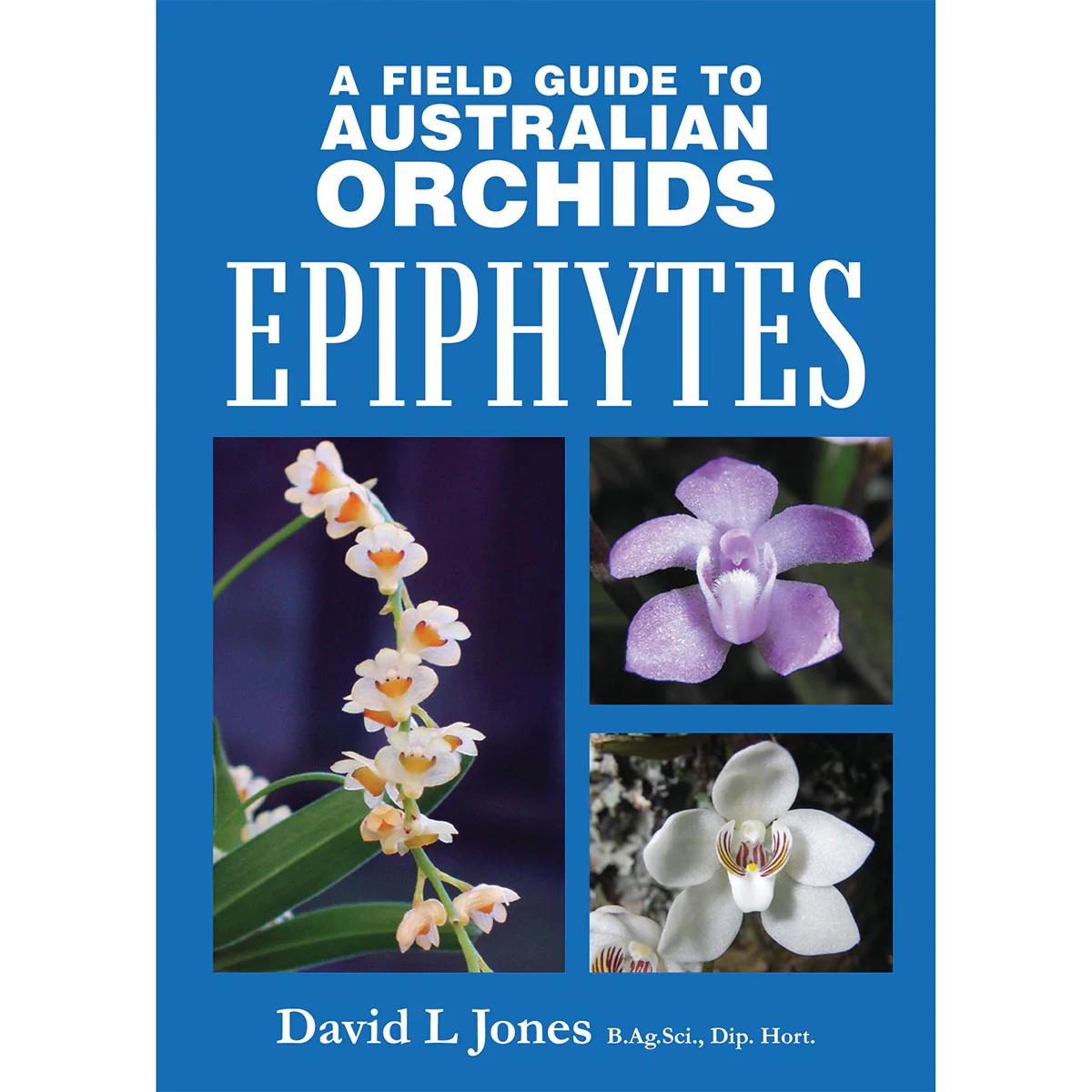 A field guide to Australian Orchids - David L Jones