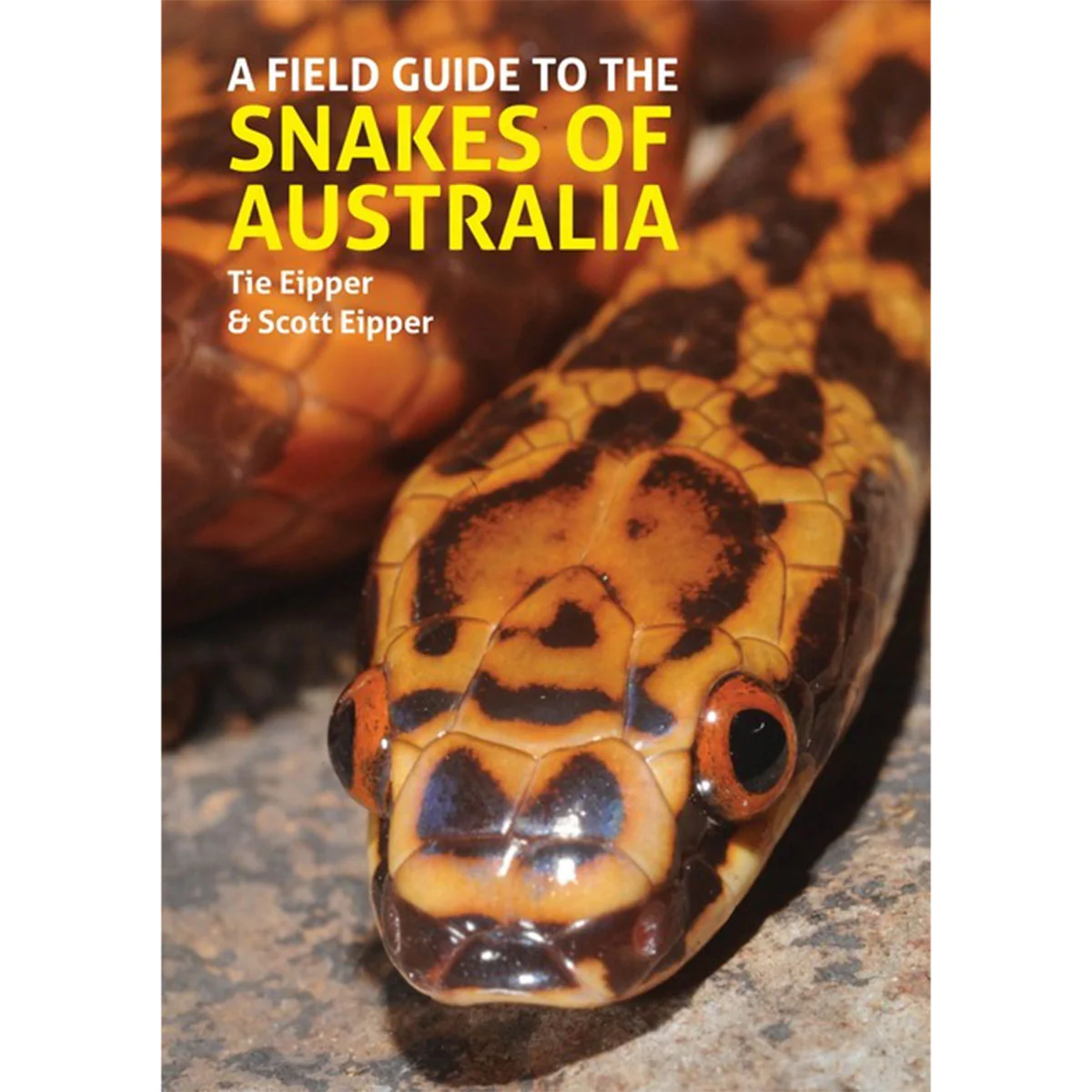 A Field Guide to the Snakes of Australia - Tie Eipper