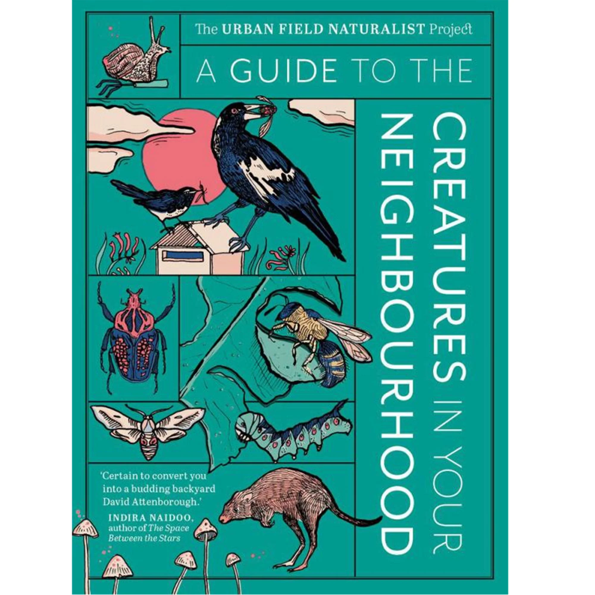 A Guide to the Creatures in Your Neighbourhood