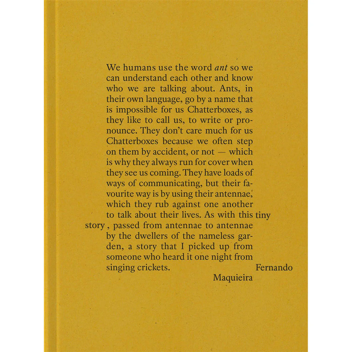 A Tiny Story - Fernando Maquieira