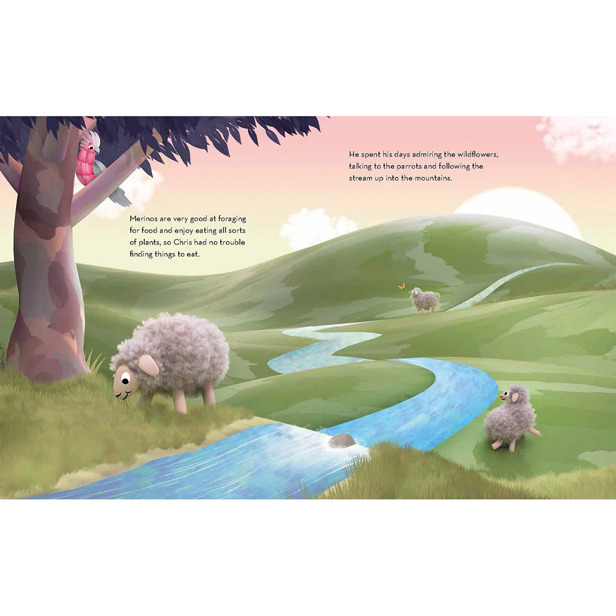 A Woolly Tale - Image 2