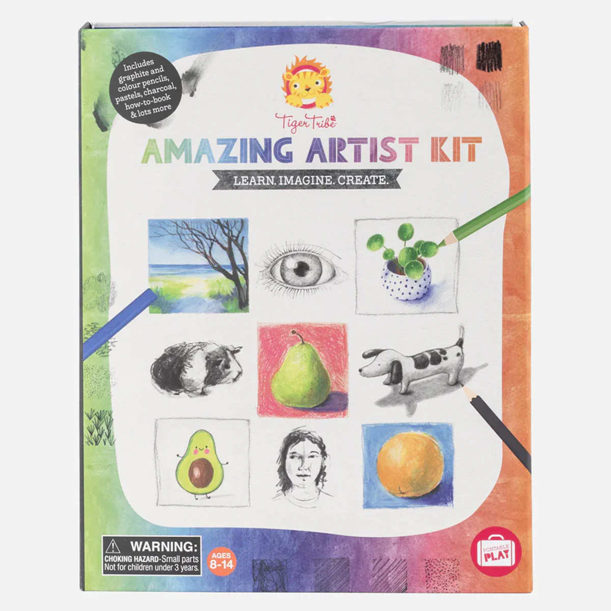 Amazing Artist Kit Learn Imagine Create - Tiger Tribe