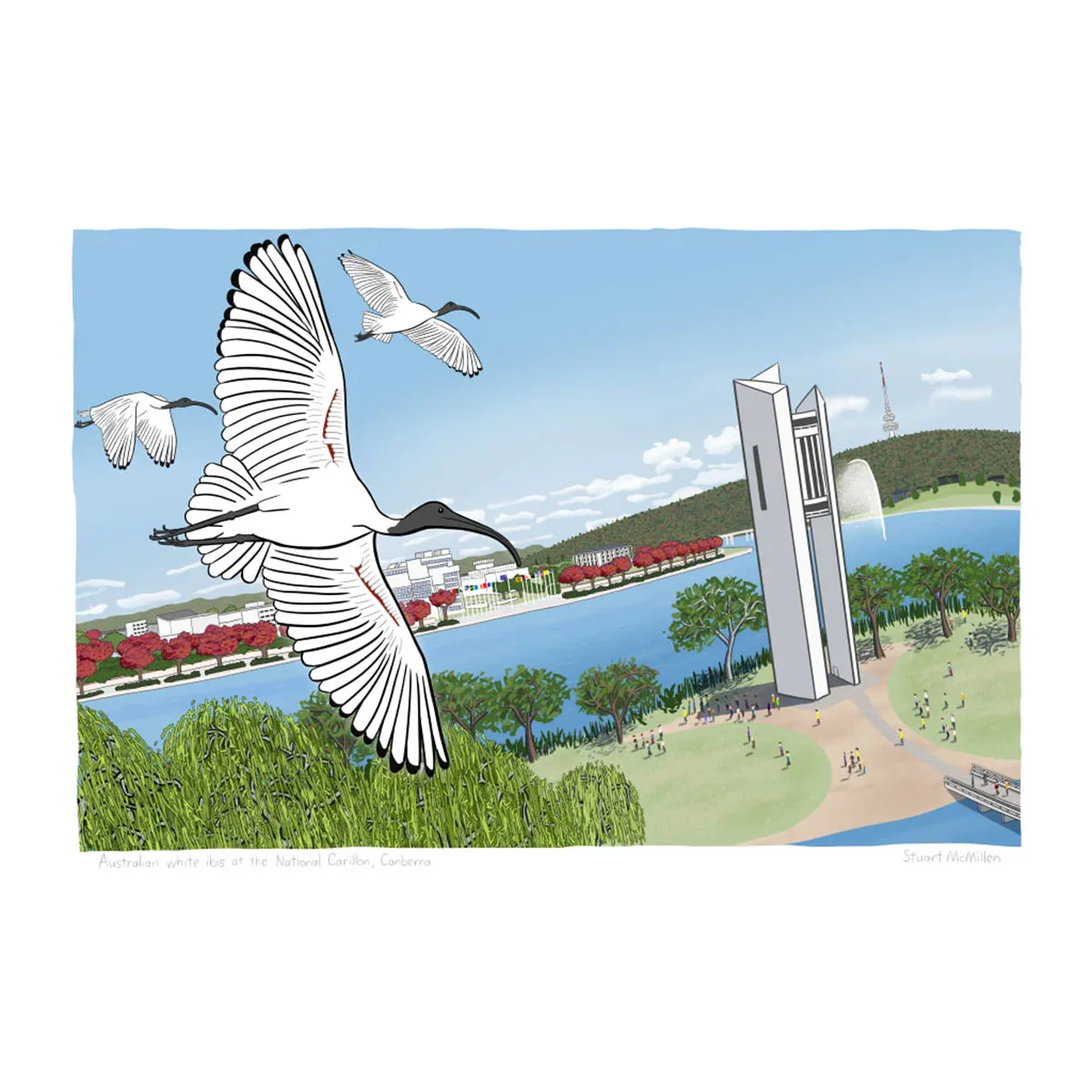 Art Print A4 Australian White Ibis at the National Carillon Canberra - Stuart McMillen