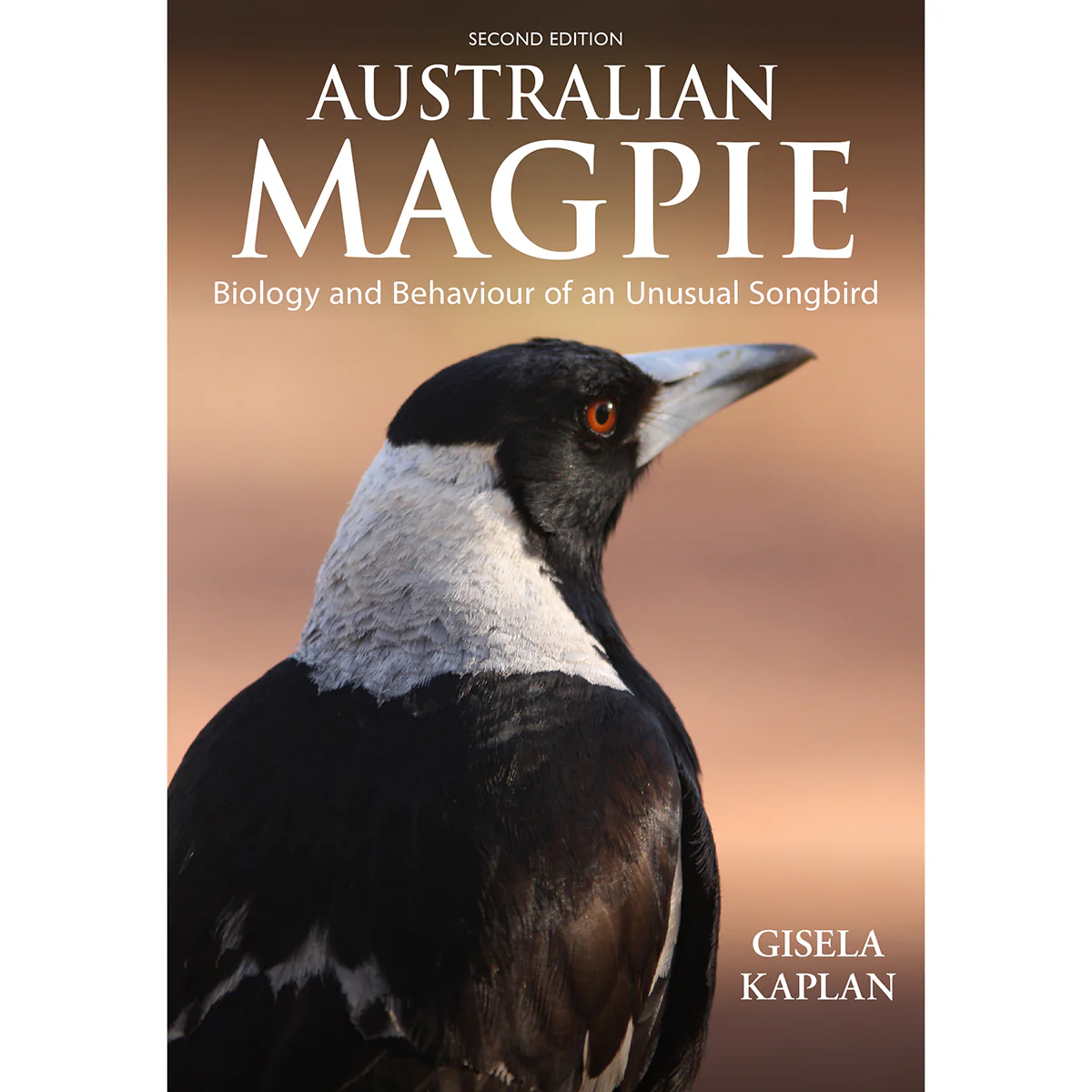 Australian Magpie-Biology and Behaviour of an Unusual Songbird