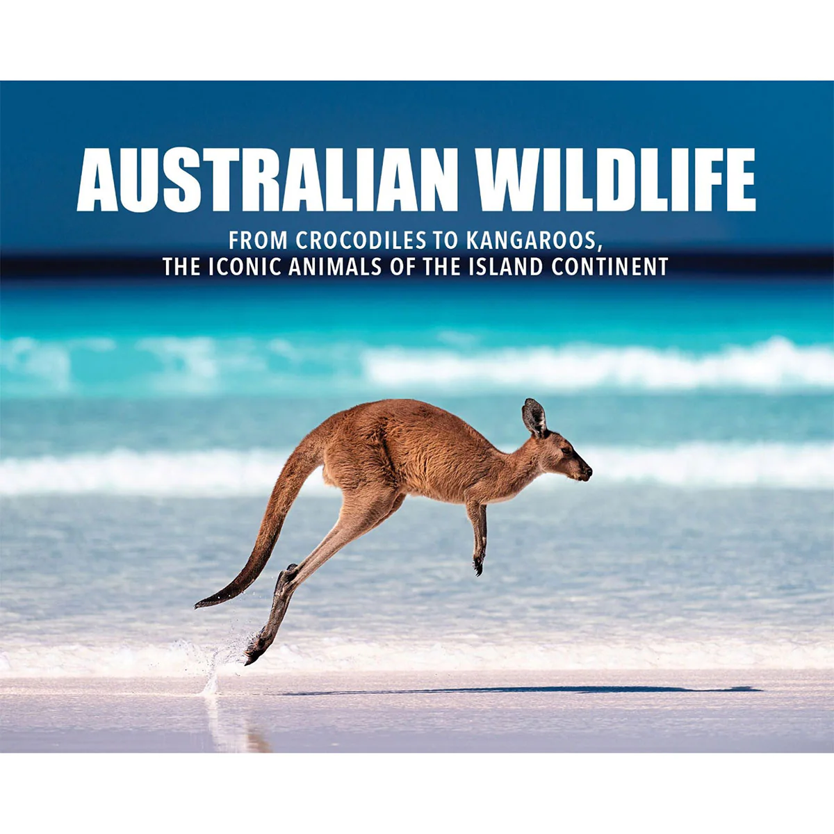 Australian Wildlife