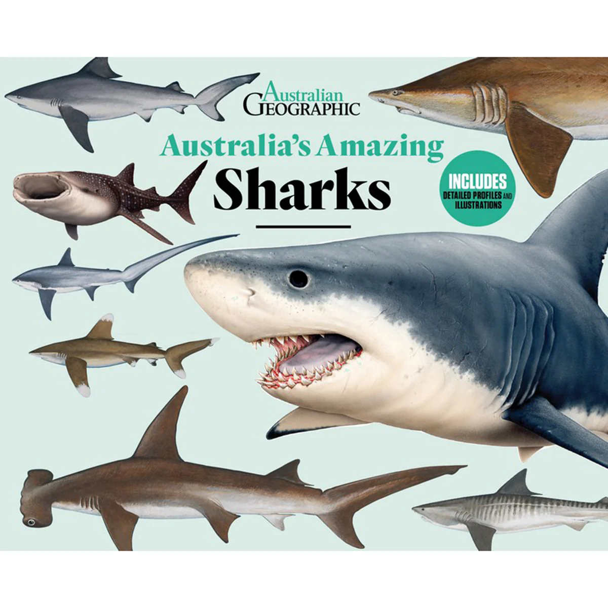 Australia's Amazing Sharks