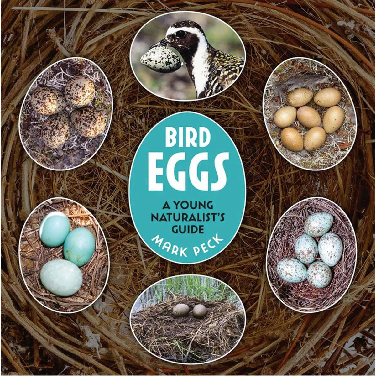 Bird Eggs A Young Naturalists Guide - Mark Peck