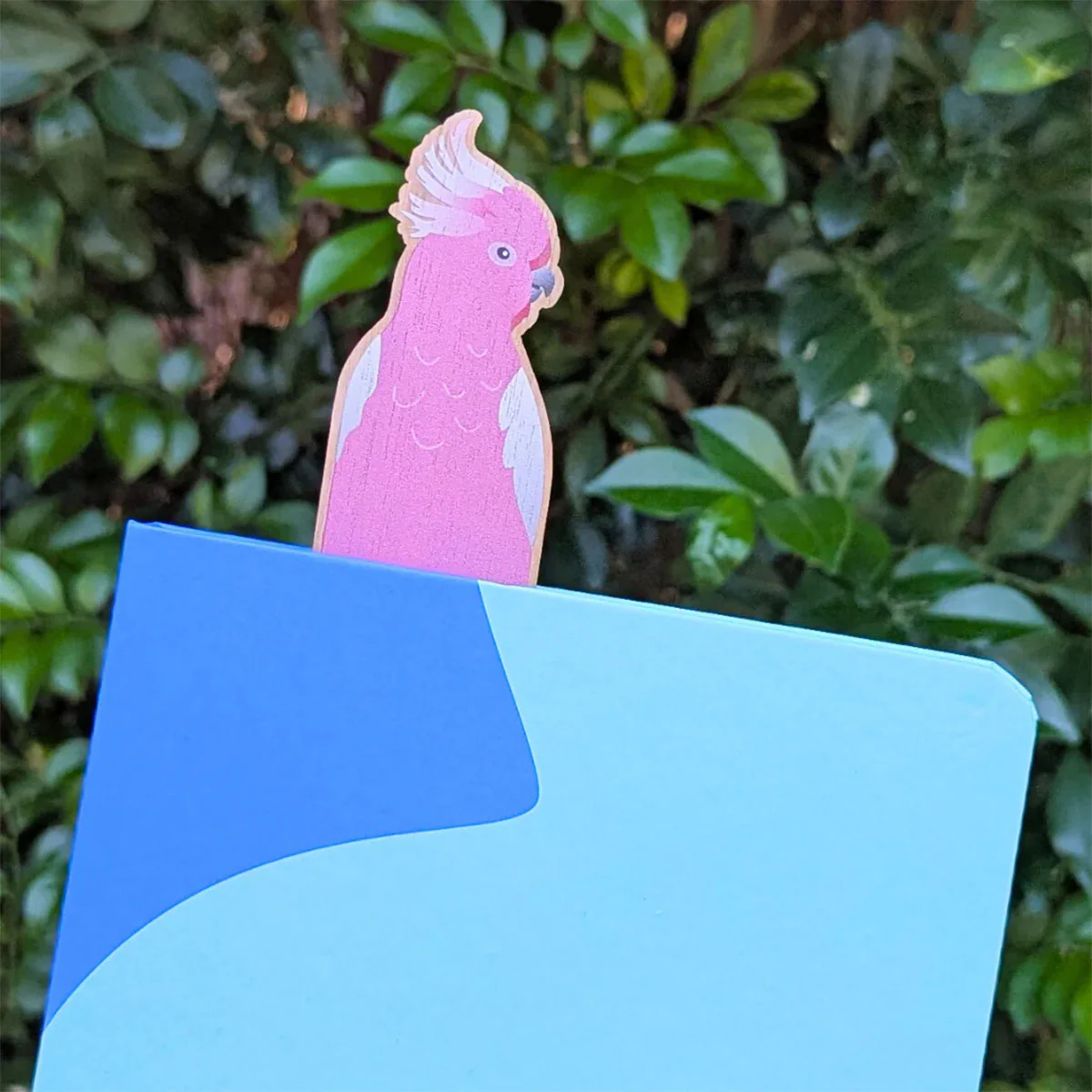 Bookmark Galah Wooden - La Source - Image 2