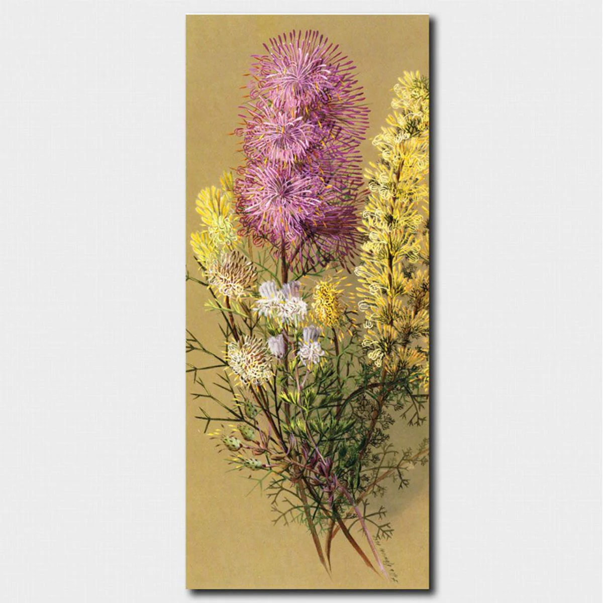 Bookmark Rose Cone Flower Conesticks Pixie Mops Cone Bush