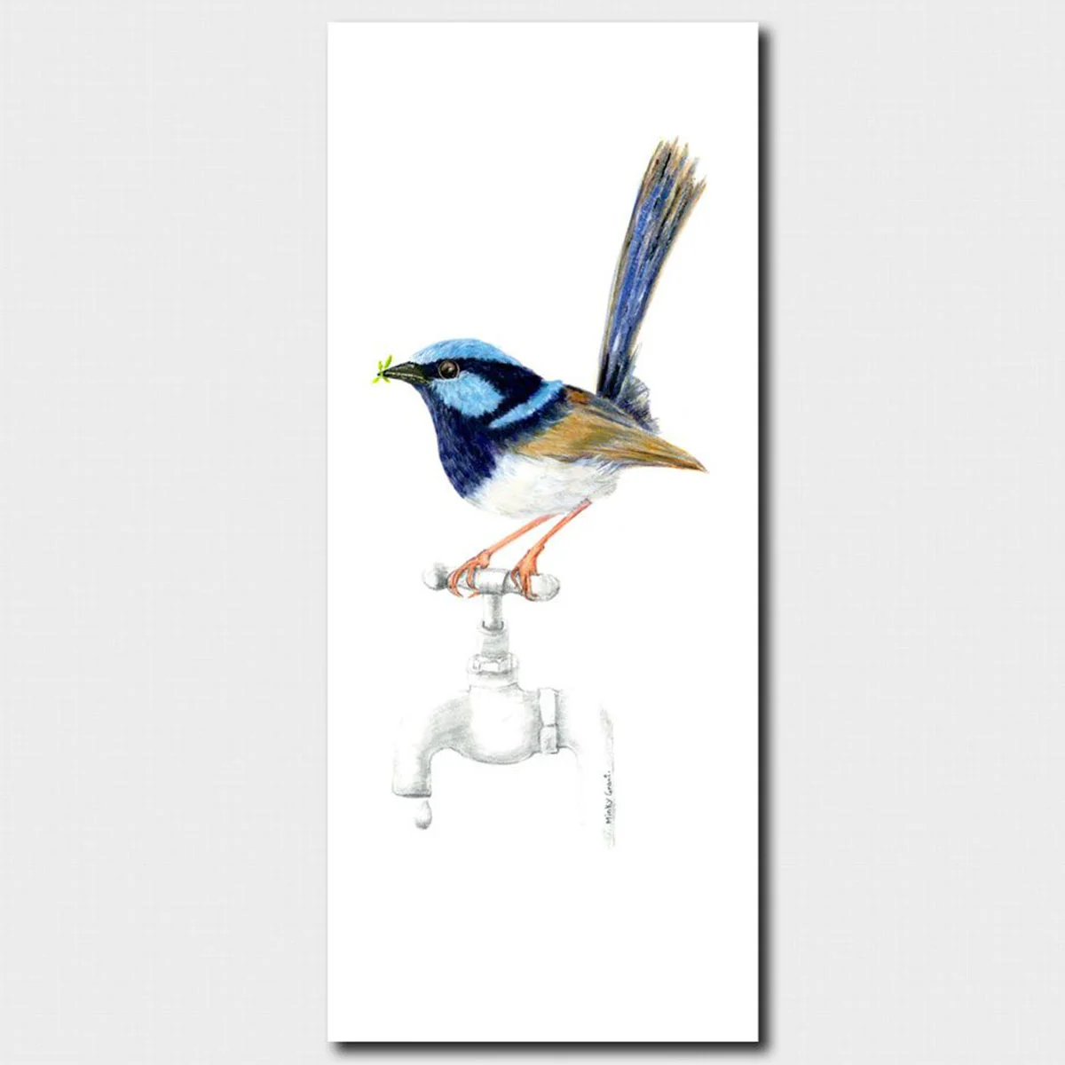 Bookmark Superb Fairy-Wren