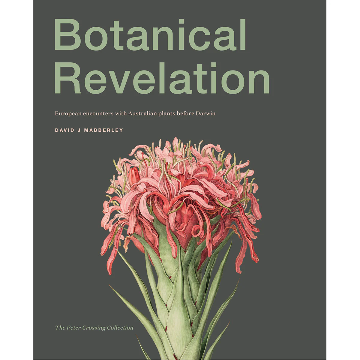 Botanical Revelation