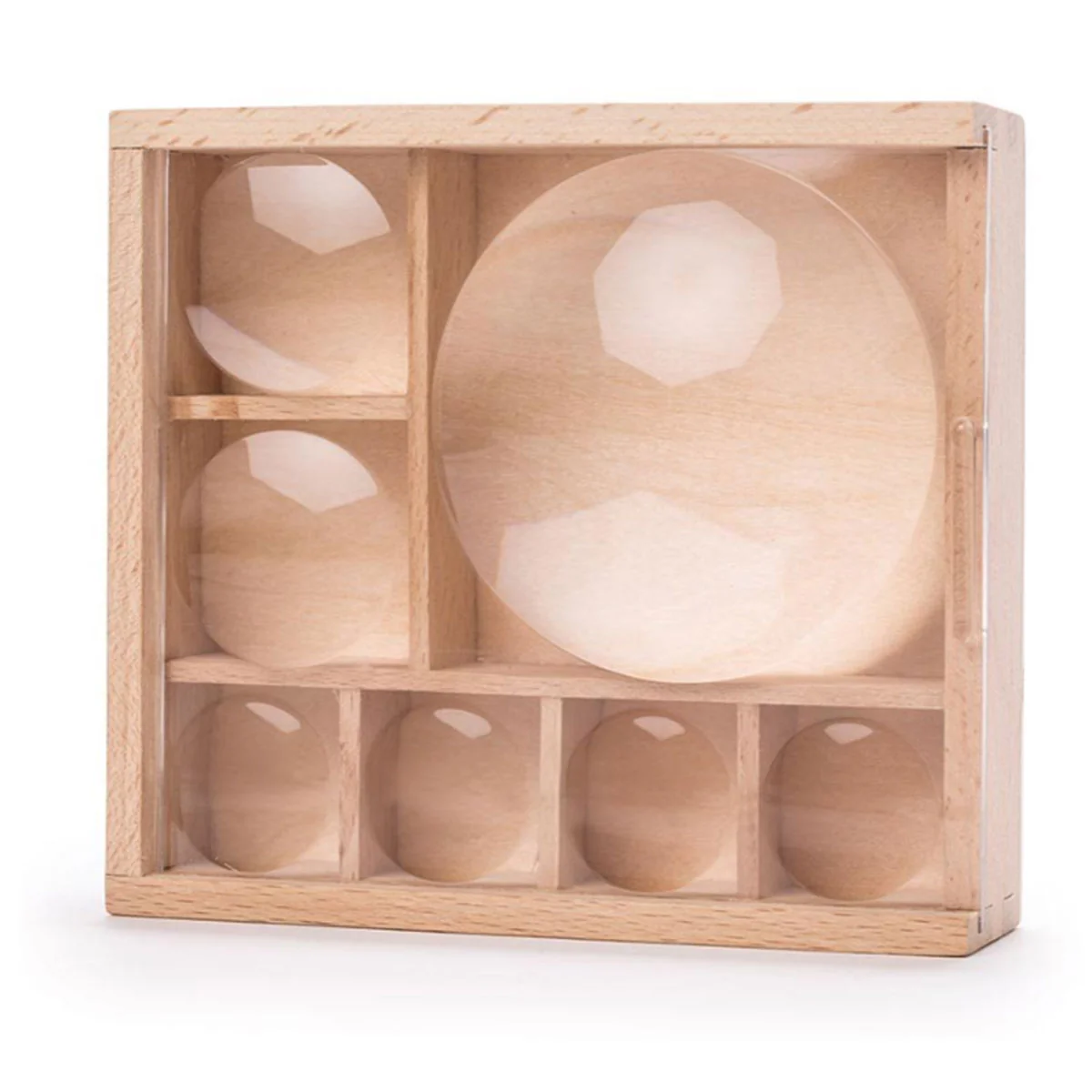 Bug Box - Kikkerland - Image 2