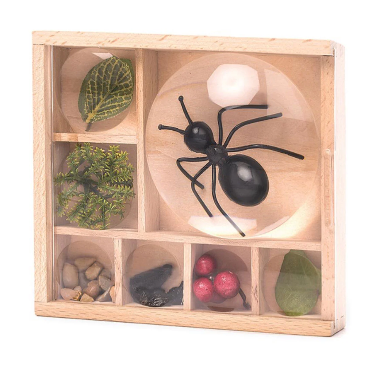 Bug Box - Kikkerland - Image 3