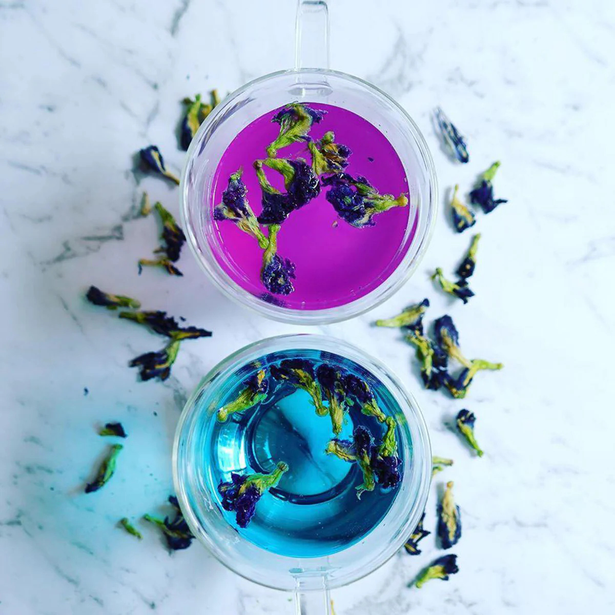 Butterfly Pea Flowers Whole Dried Flowers - Wild Hibiscus - Image 3