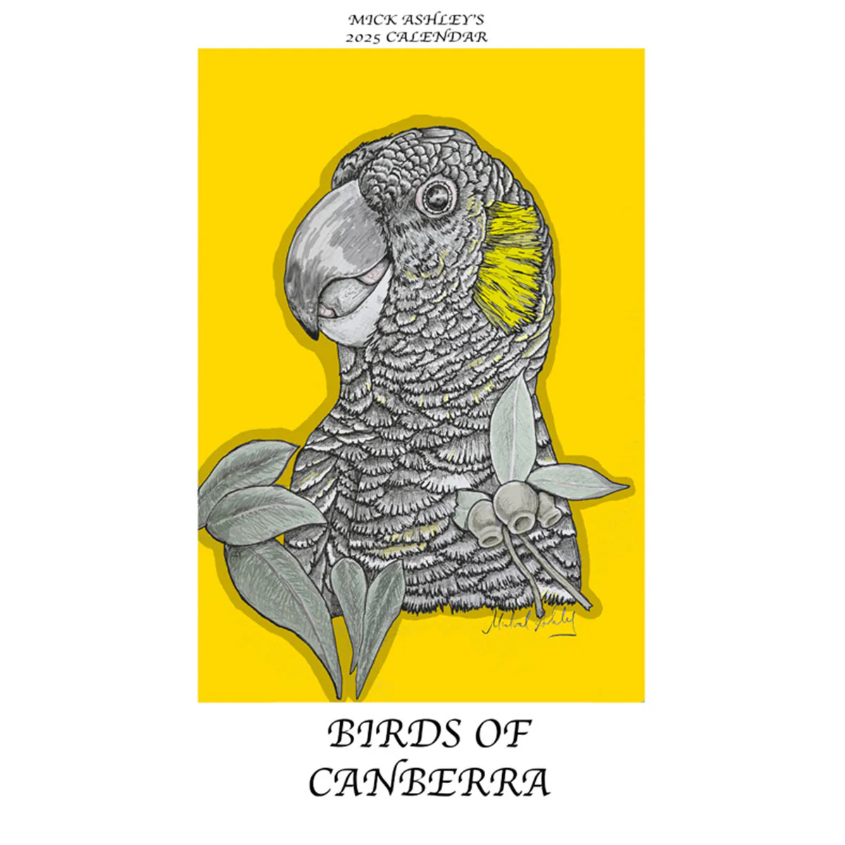 Calendar 2025 Canberra Birds - Leafy Sea Dragon