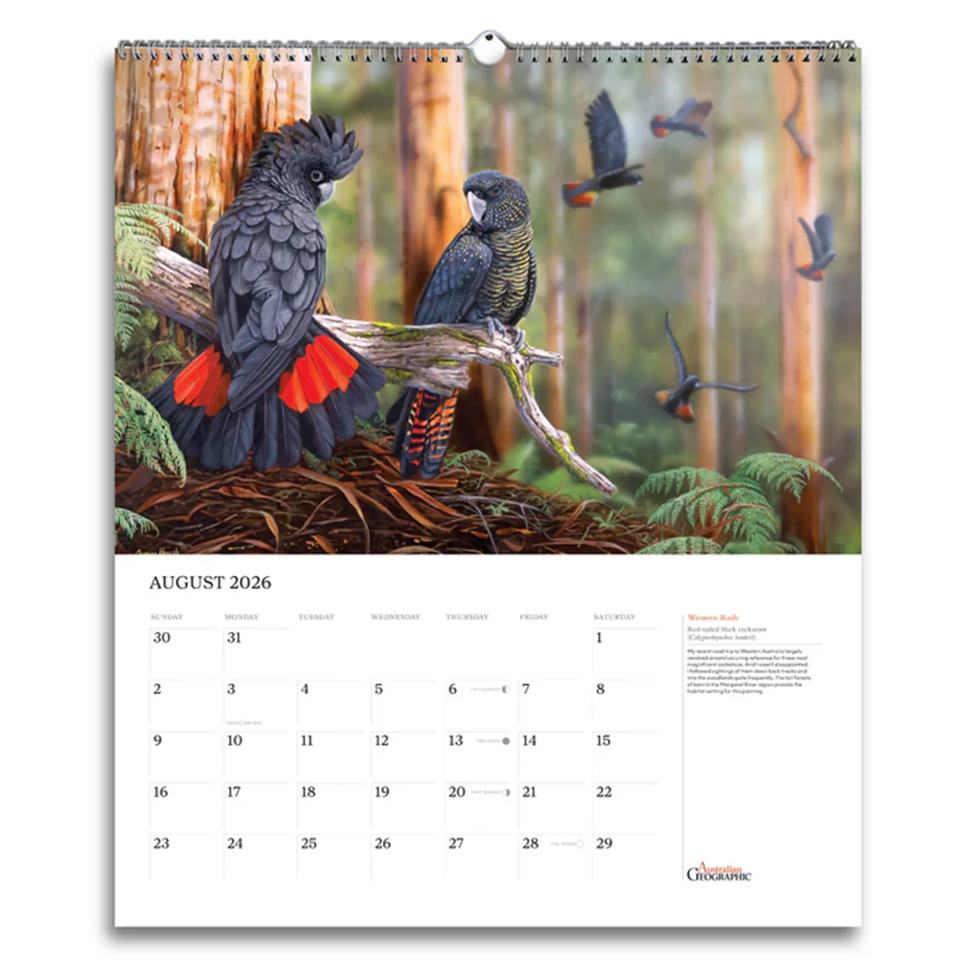 Calendar 2026 Australian Geographic Art - Image 2