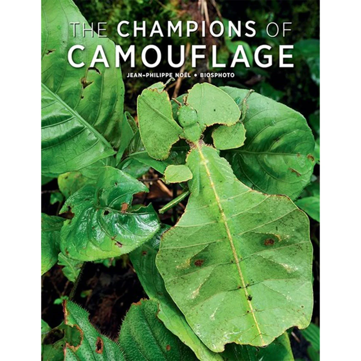 Champions of Camouflage Hardcover