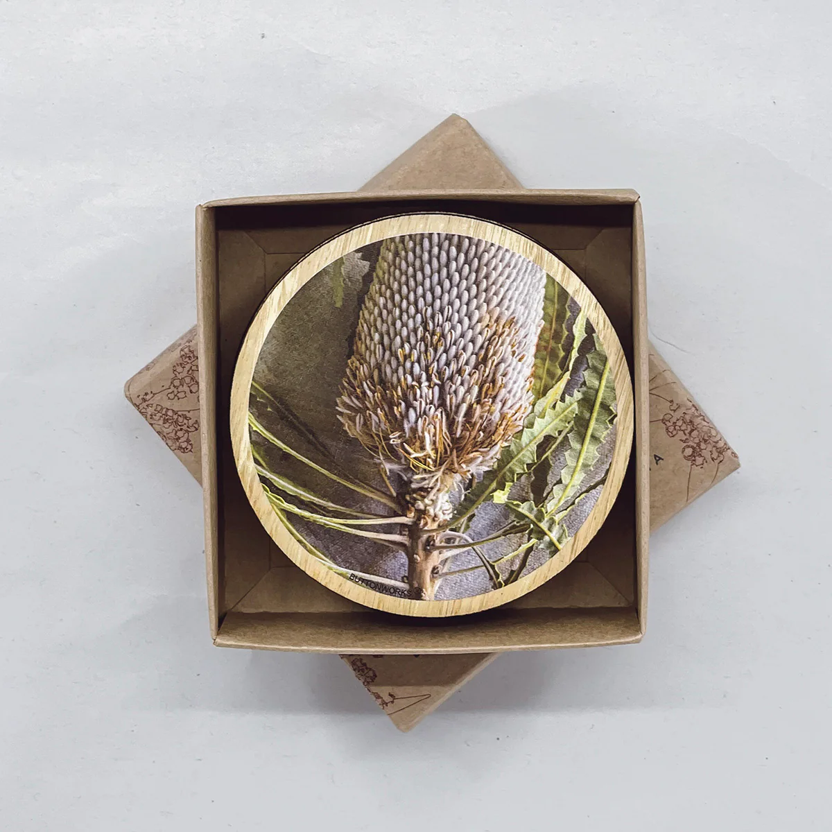 Coaster Round Botanic Banksia Flower Set of 6 - Buttonworks