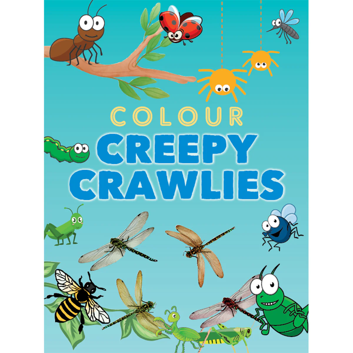 Colour Creepy Crawlies