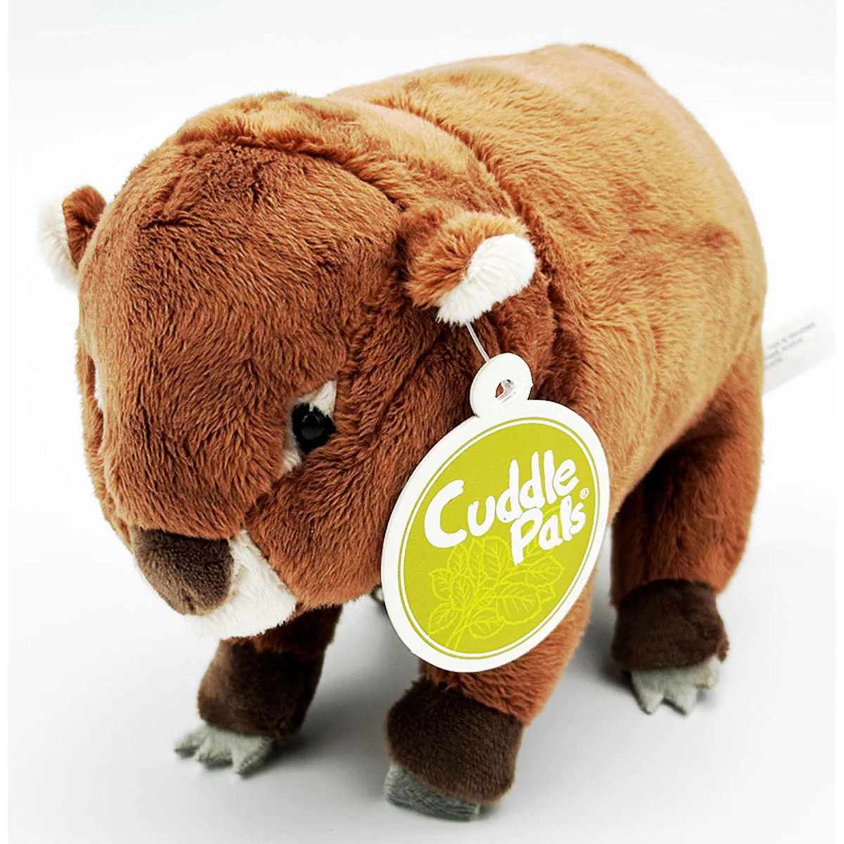 Pal Buddy Wombat 19cm - Jack in the Box