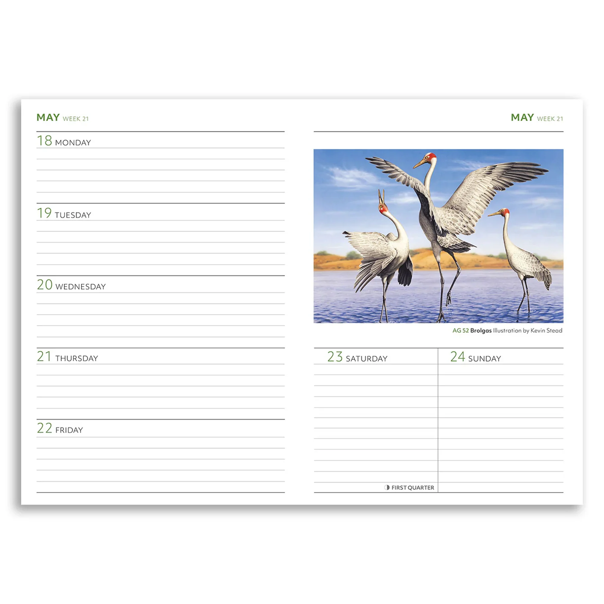 Diary 2026 Australian Geographic 40th Anniversary - Image 2