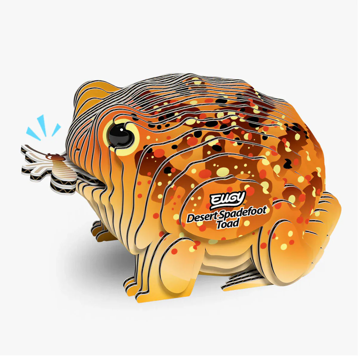 EUGY Desert Spadefoot Toad