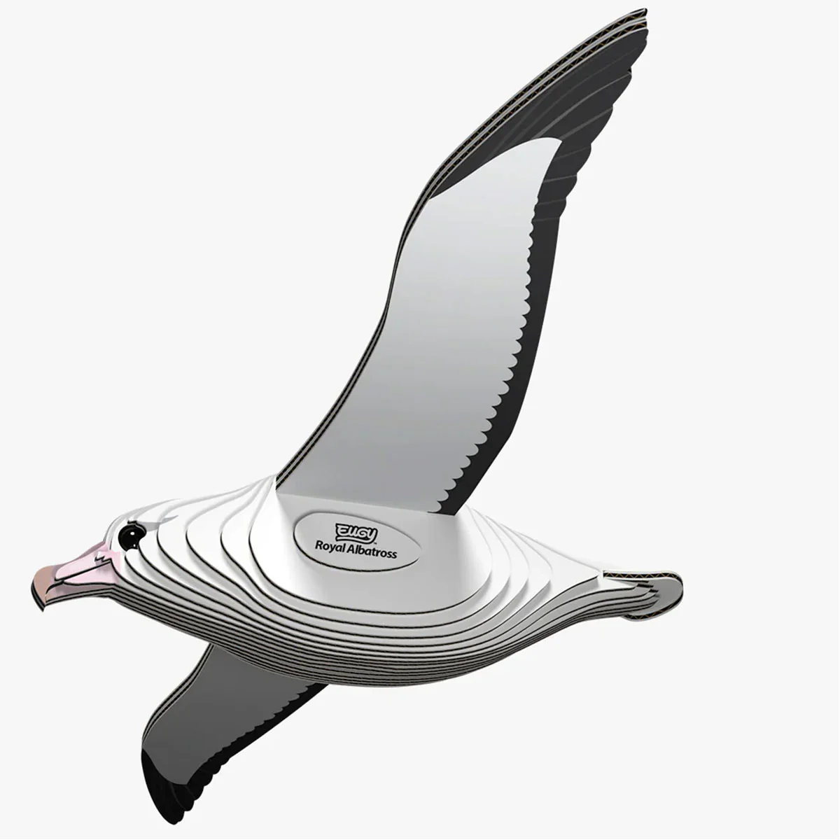 EUGY Royal Albatross