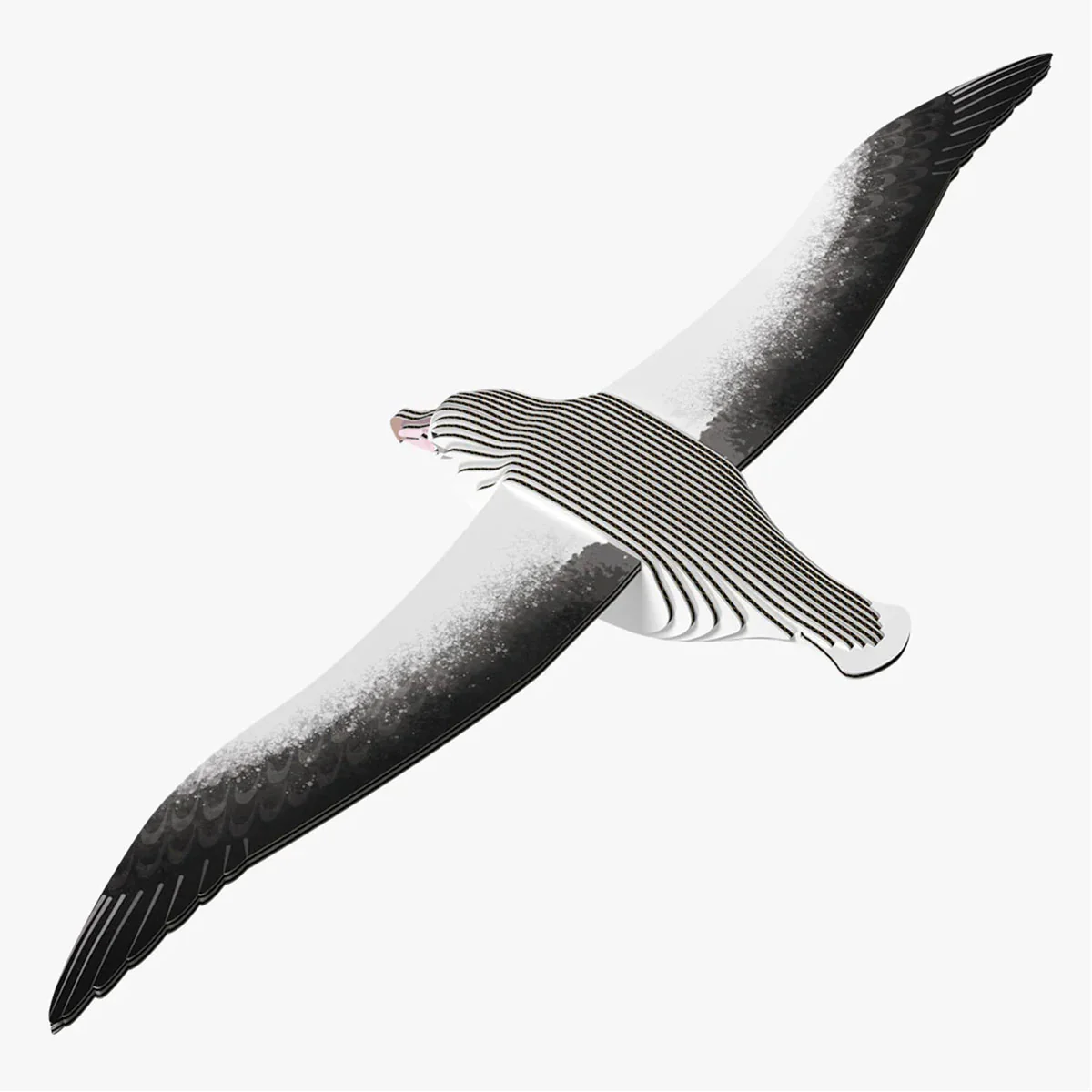 EUGY Royal Albatross - Image 2