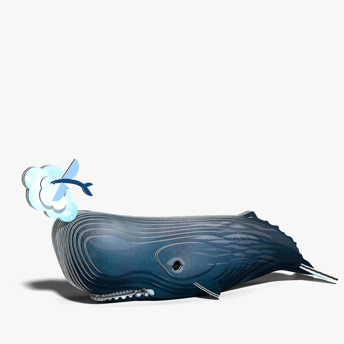 EUGY Sperm Whale