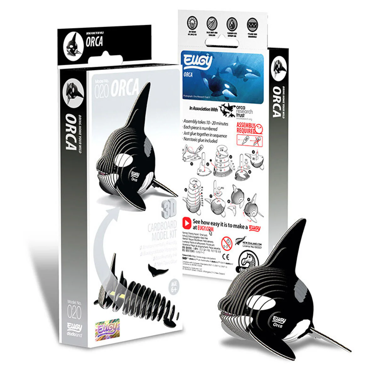 EUGY Orca - Image 3