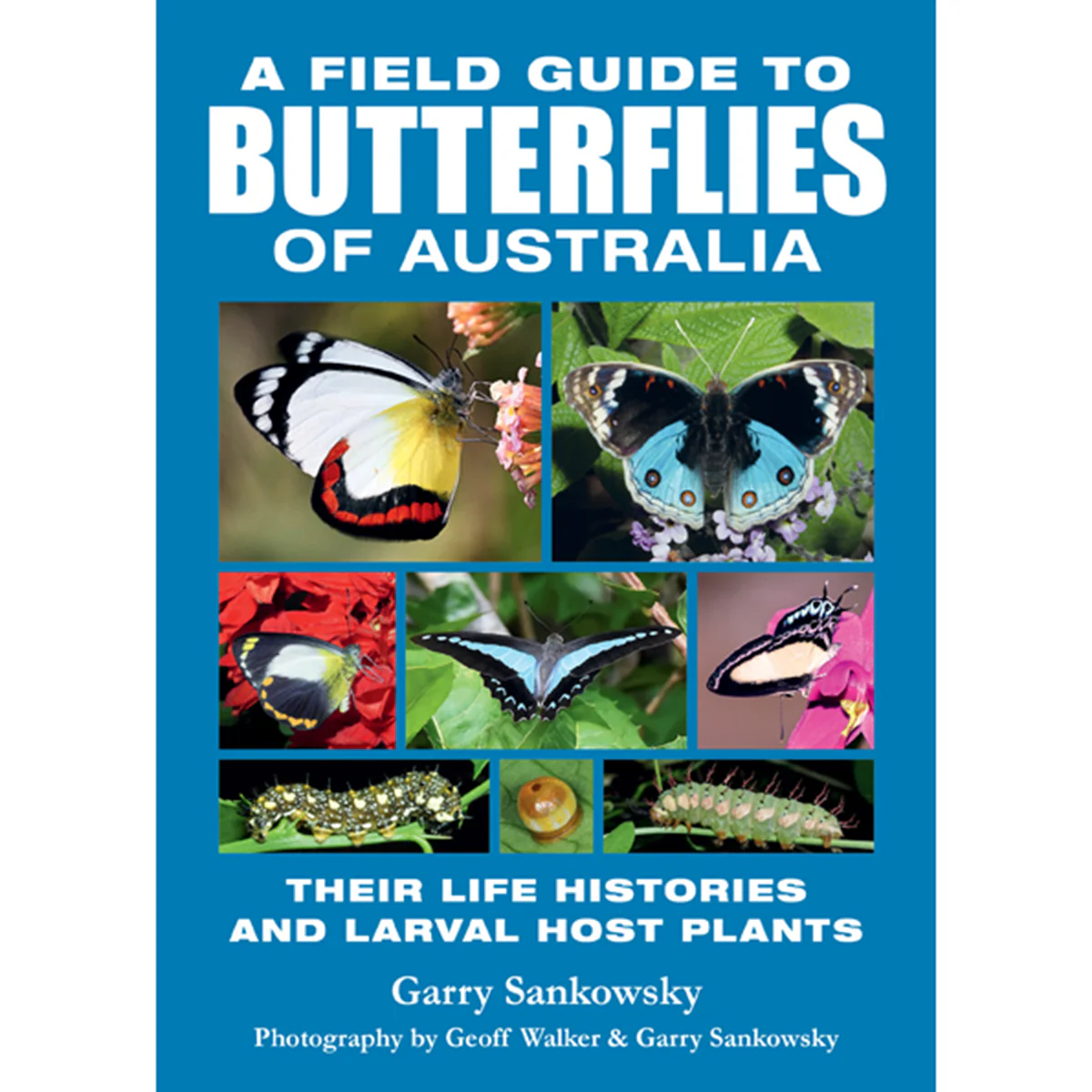 A Field Guide Butterflies of Australia: Their Life Histories and Larval Host Plants