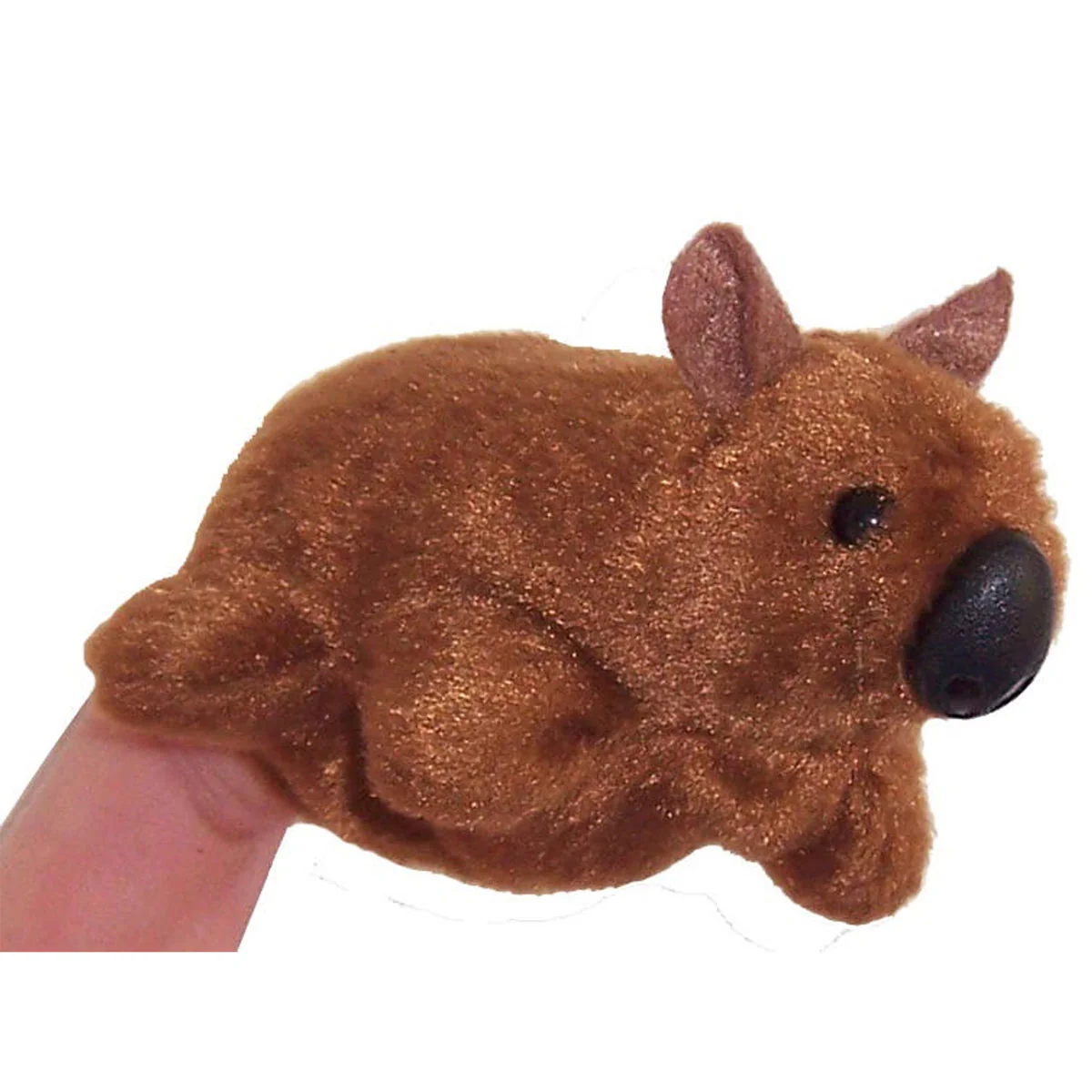 Finger Puppet Wombat - Science & Nature