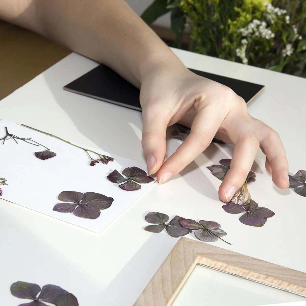 Flower Press Frame - Isalbi - Kikkerland Great Outdoors - Image 2