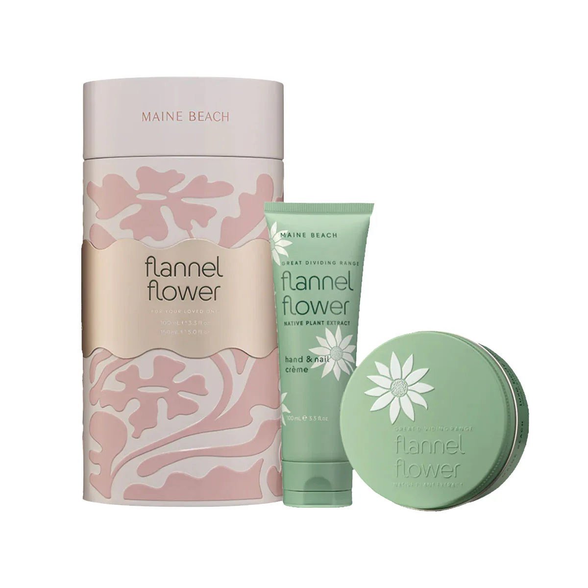 Gift Tin For Your Loved One Flannel Flower - Cocco Corporation