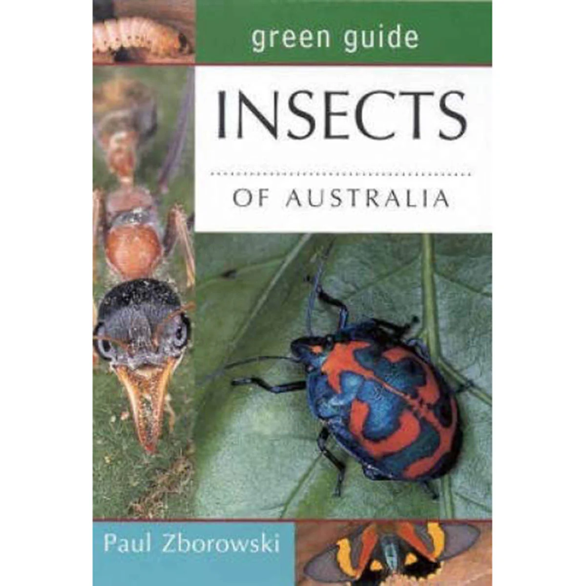 Green Guide: Insects of Australia