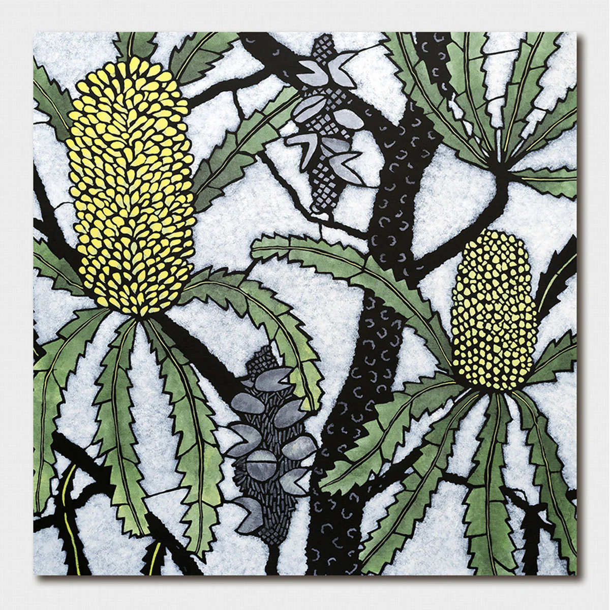 Greeting Card Banksia Serrata II Julie Hickson
