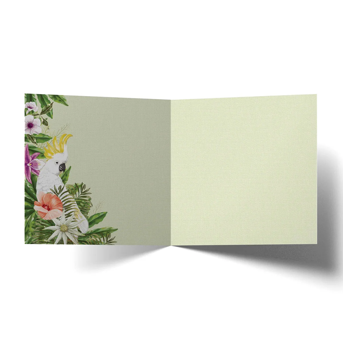Greeting Card Cockatoos Chat - Image 2