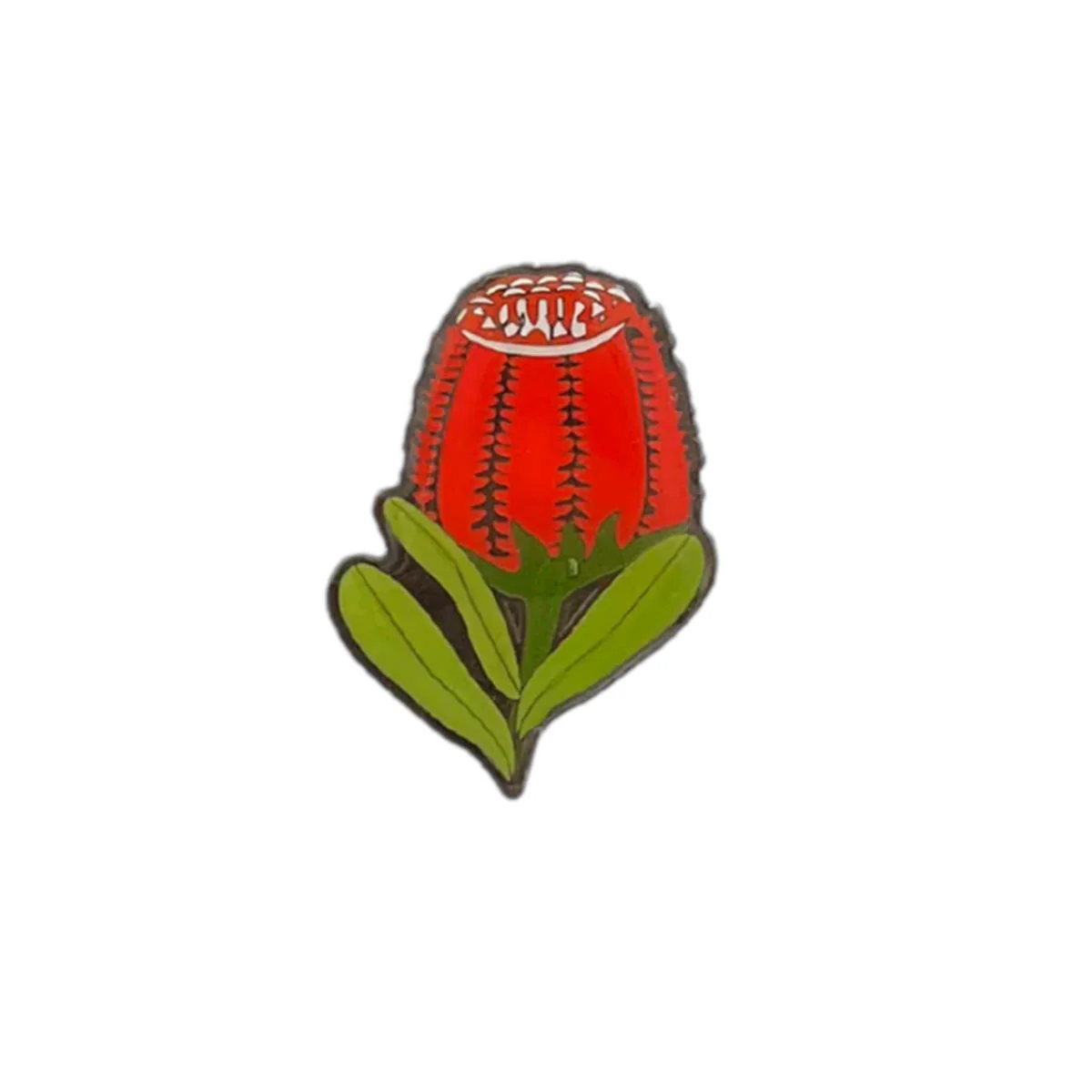 Hat Badge Banksia - Wilmot Harvey