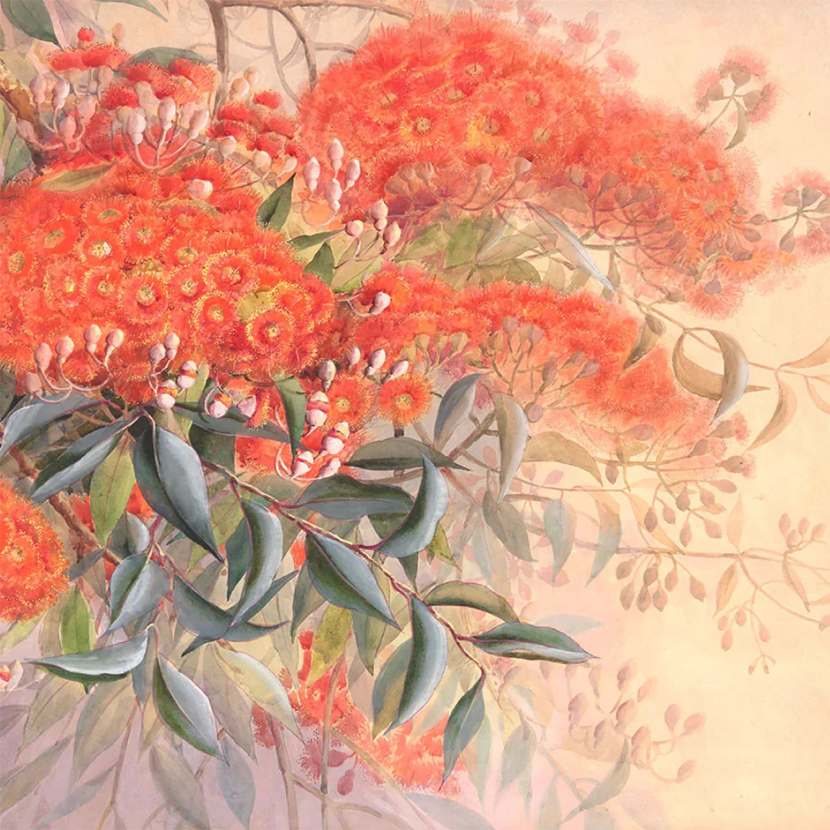 Hoop Earrings Eucalyptus Beacon Ellis Rowan - Moe Moe Design - Image 4