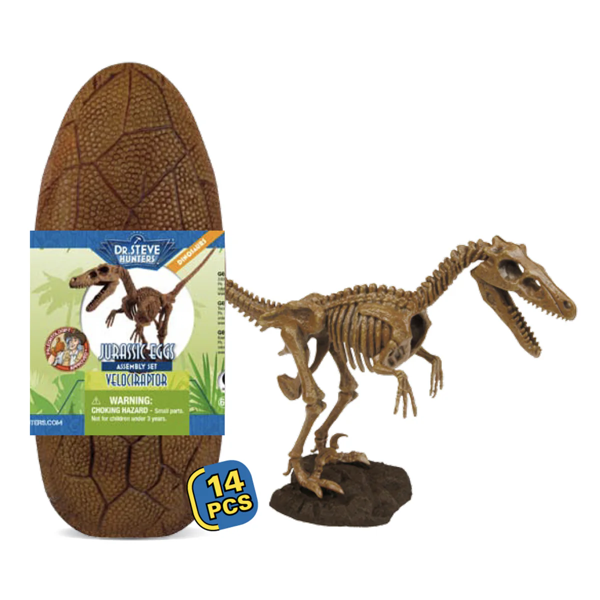 Jurassic Eggs - Science & Nature - Image 2