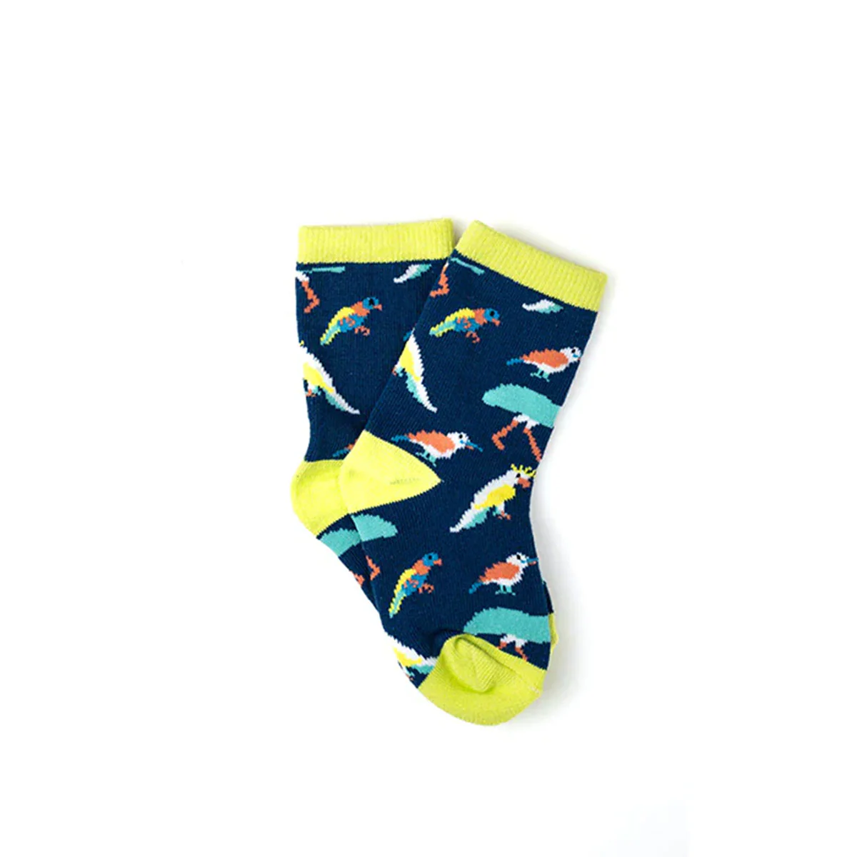Kids Socks Australian Native Birds 2-4Y - Capital Socks