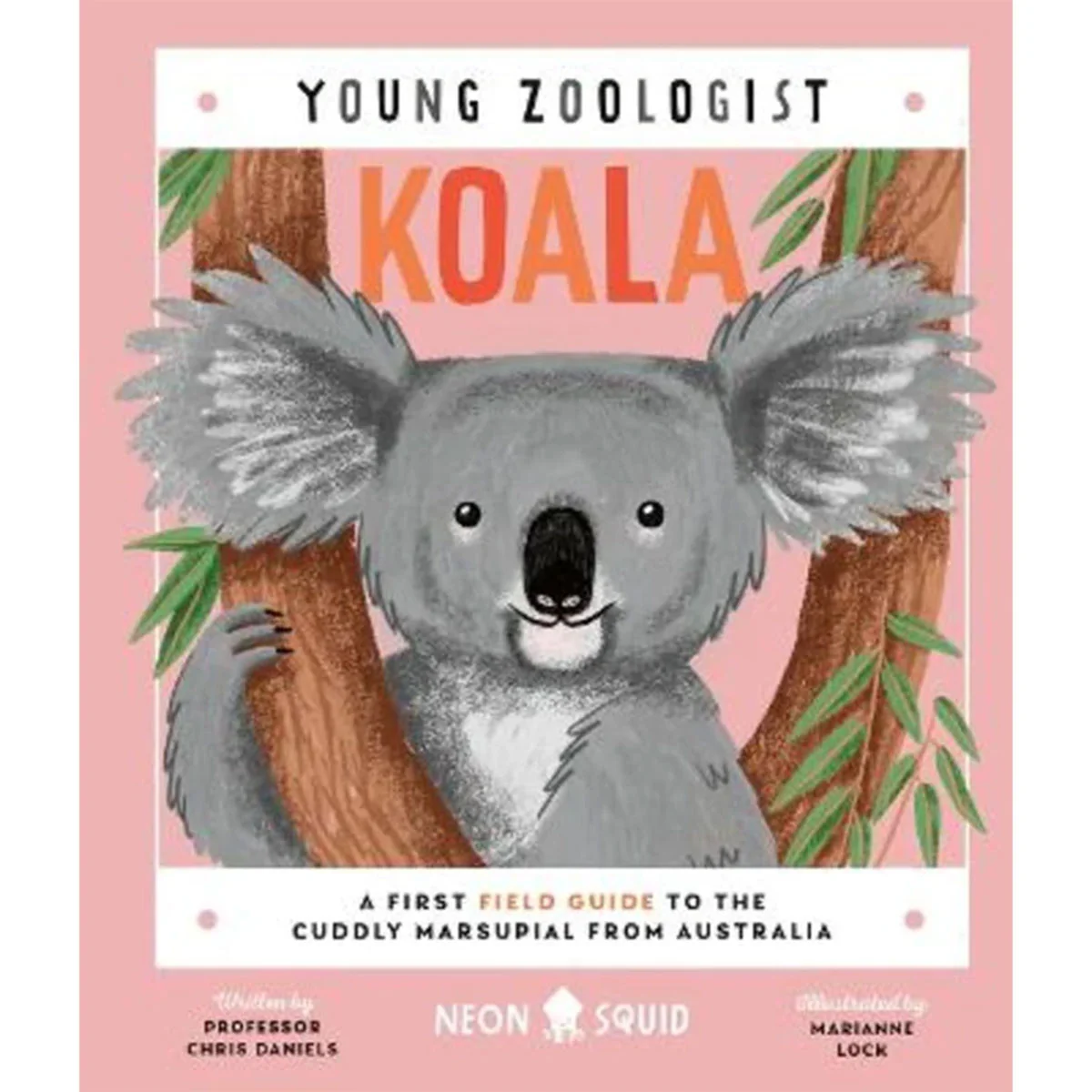 Koala (Young Zoologist) A First Field Guide to the Cuddly Marsupial from Australia