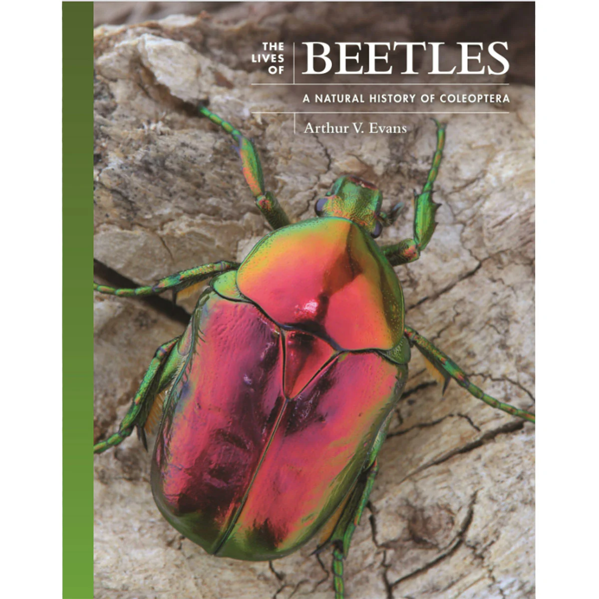 Lives of Beetles