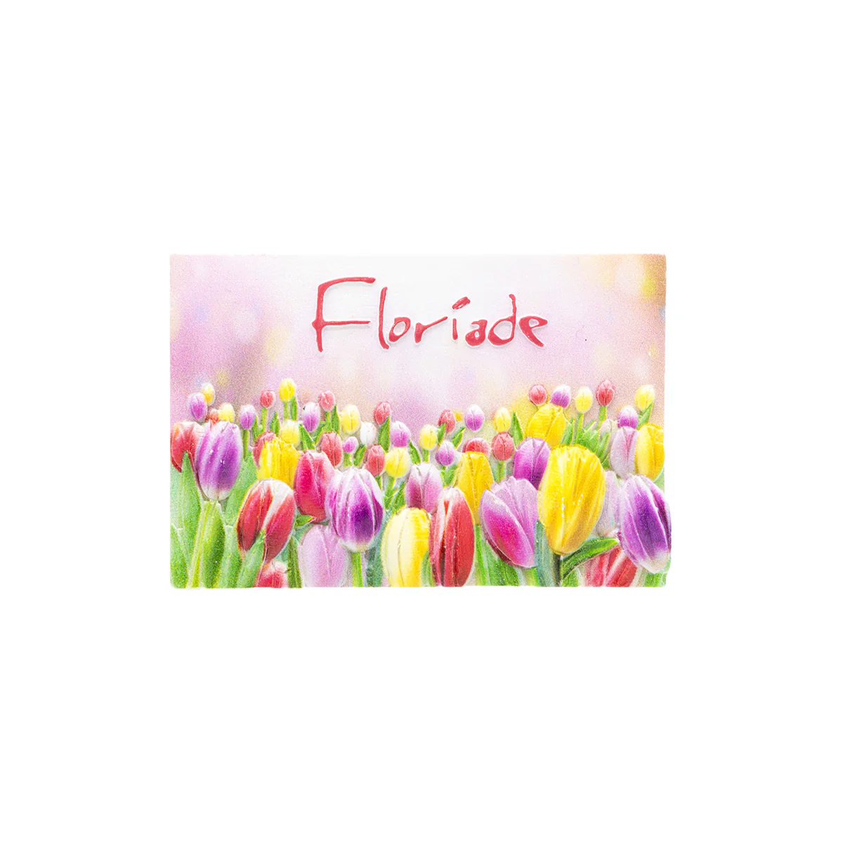 Magnet Polyresin Floriade Tulip Bed - Branded Ideas
