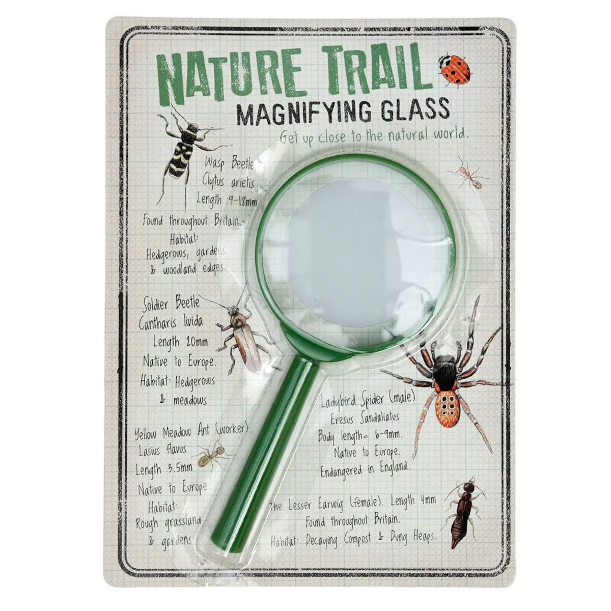 Magnifying Glass Nature Trail - Bobangles