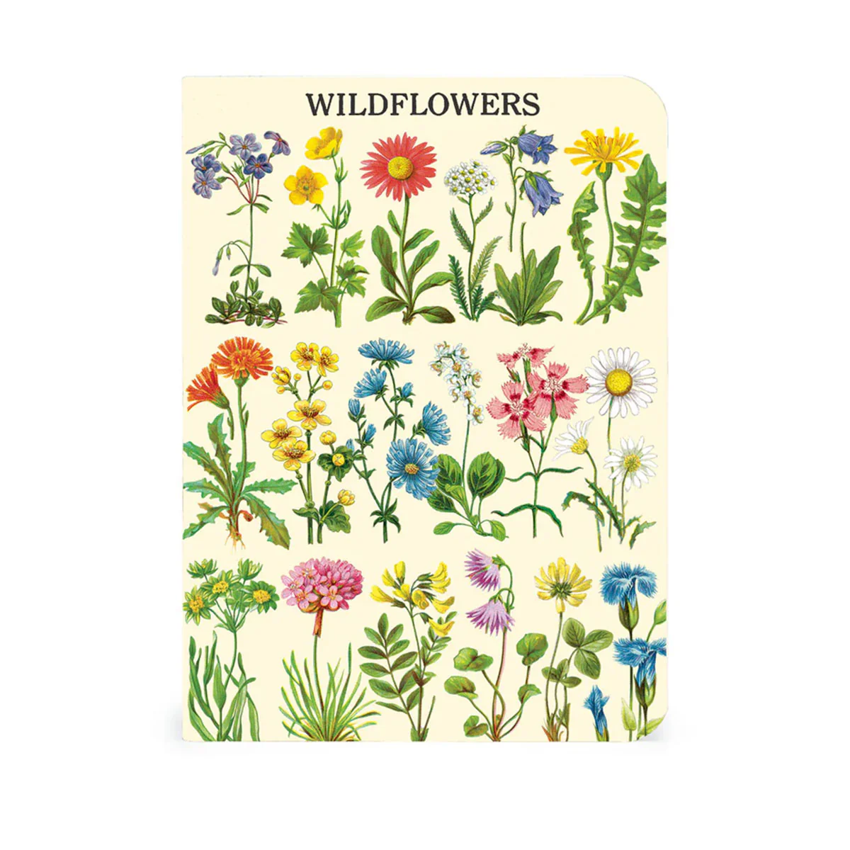 Mini Notebook 3 Set Wildflowers 2 - Bobangles - Image 3