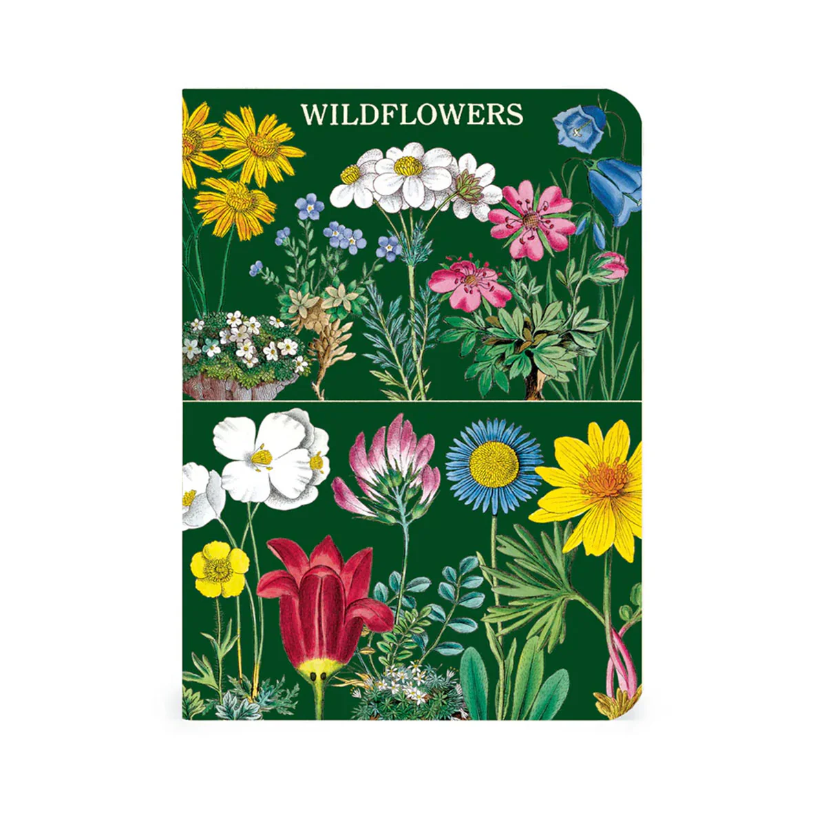 Mini Notebook 3 Set Wildflowers 2 - Bobangles - Image 4
