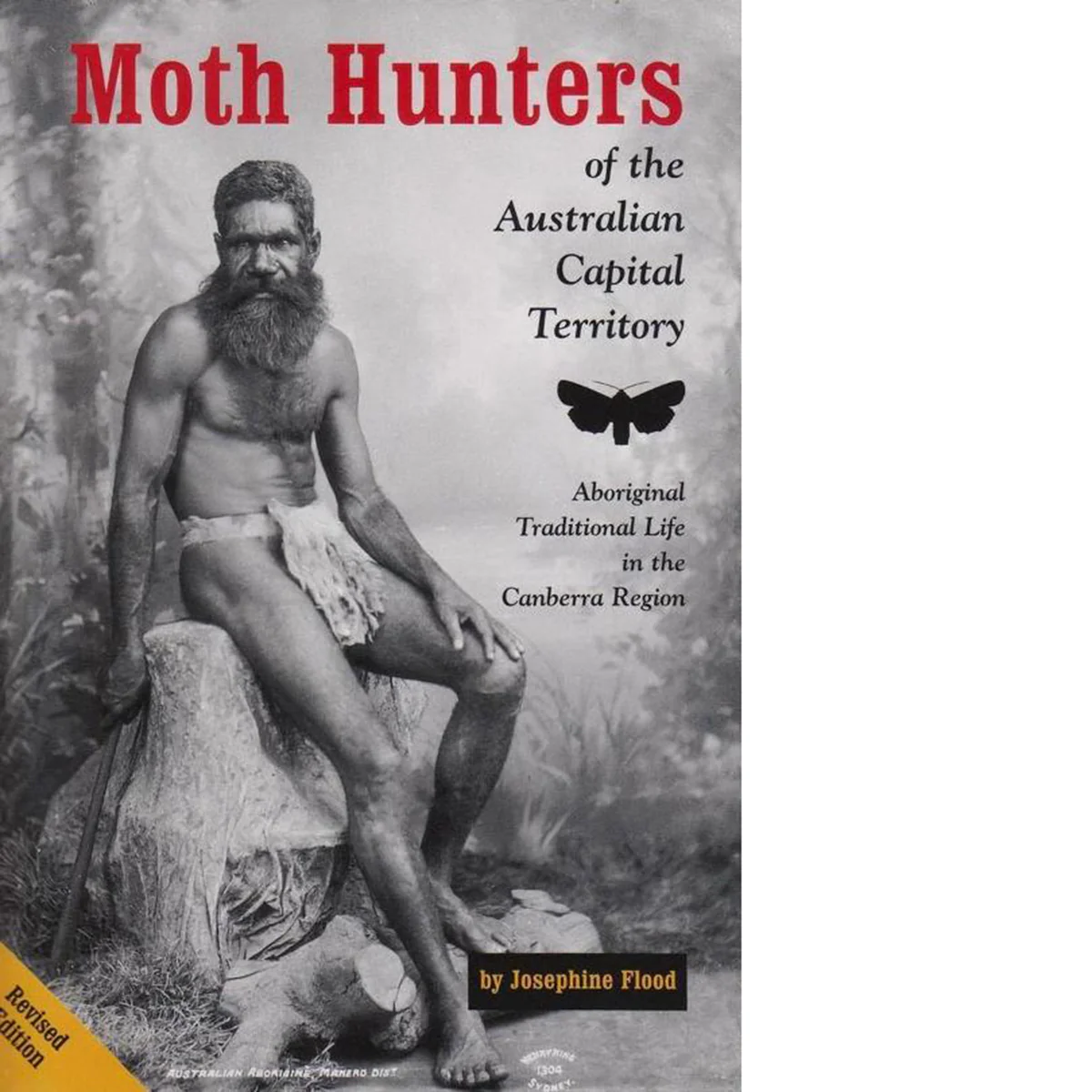 Moth Hunters